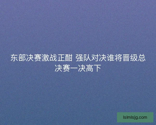 东部决赛激战正酣 强队对决谁将晋级总决赛一决高下